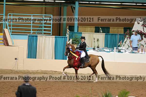 Proof Number 09yn-20121