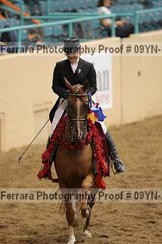 Proof Number 09yn-20128