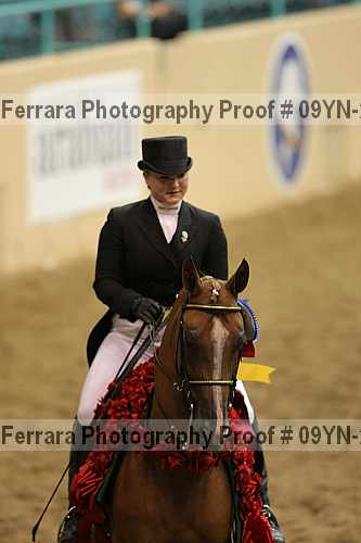 Proof Number 09yn-20131