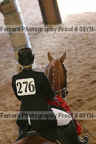 Proof Number 09yn-20150