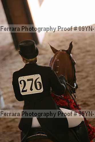 Proof Number 09yn-20151