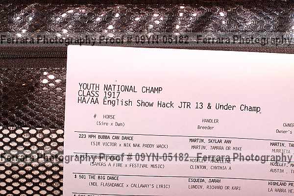Proof Number 09yn-05182
