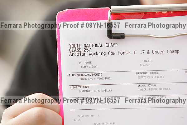 Proof Number 09yn-18557