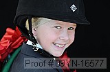 09yn-16577 thumbnail