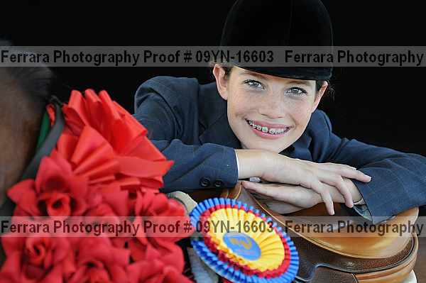 Proof Number 09yn-16603