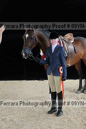 Proof Number 09yn-18012