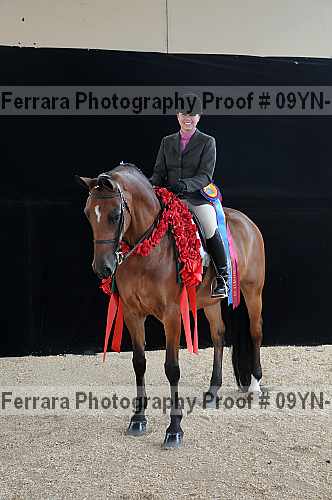 Proof Number 09yn-18032