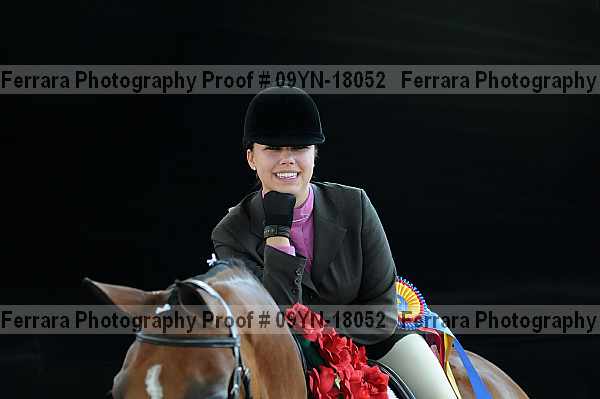 Proof Number 09yn-18052