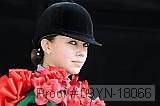 09yn-18066 thumbnail