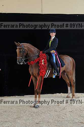 Proof Number 09yn-18073