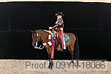 09yn-18086 thumbnail