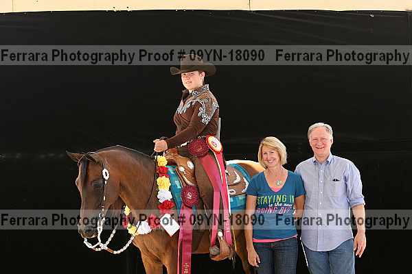 Proof Number 09yn-18090