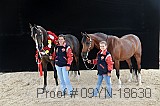 09yn-18630 thumbnail