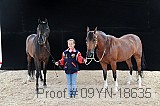 09yn-18635 thumbnail