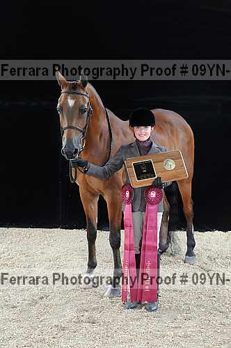 Proof Number 09yn-18686