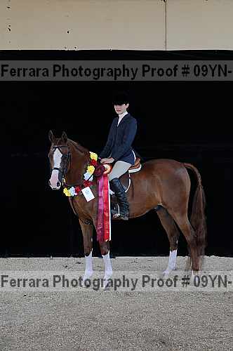 Proof Number 09yn-19861