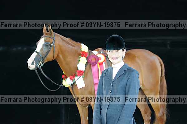 Proof Number 09yn-19875