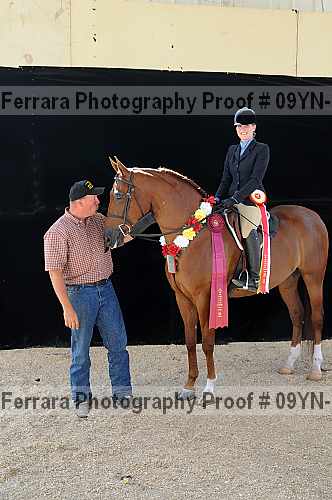 Proof Number 09yn-22092