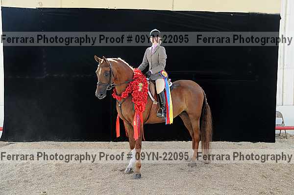 Proof Number 09yn-22095