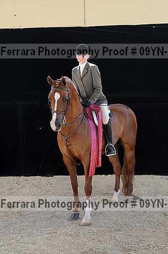 Proof Number 09yn-22143