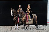 09yn-22523 thumbnail
