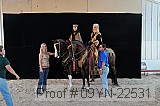 09yn-22531 thumbnail