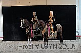 09yn-22539 thumbnail