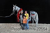 09yn-22554 thumbnail