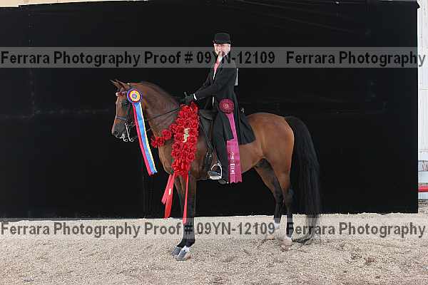Proof Number 09yn-12109