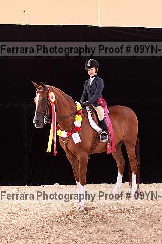 Proof Number 09yn-09981
