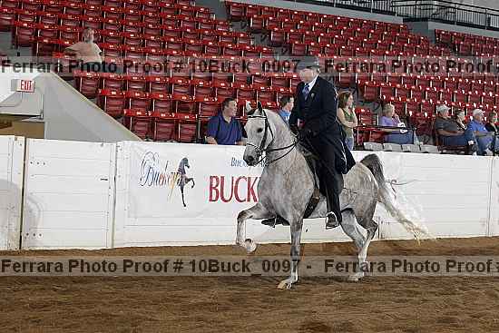 Proof Number 10buck_0097