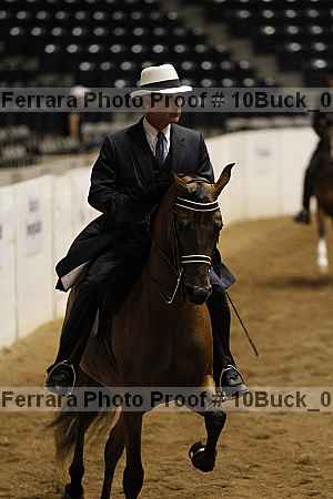 Proof Number 10buck_0099