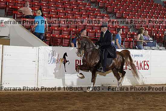 Proof Number 10buck_0103