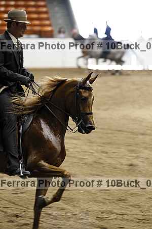 Proof Number 10buck_0108