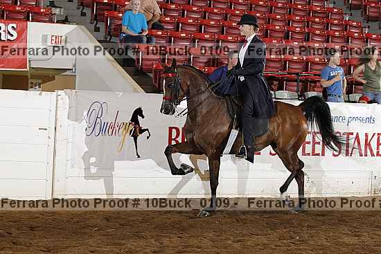 Proof Number 10buck_0109