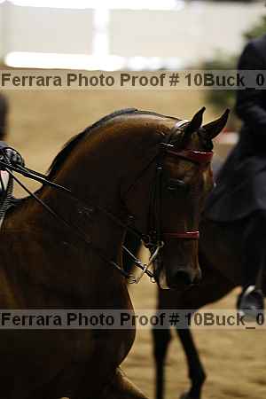 Proof Number 10buck_0113