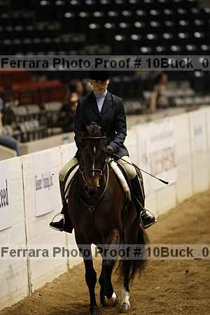 Proof Number 10buck_0139