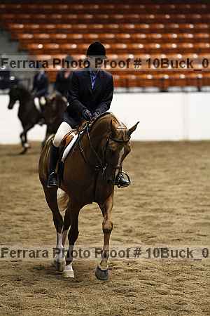 Proof Number 10buck_0145