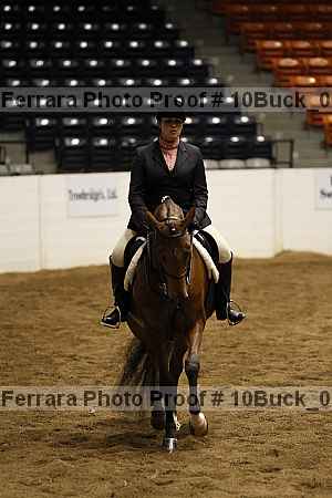 Proof Number 10buck_0146