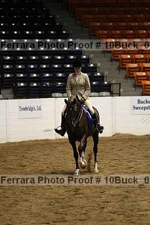 Proof Number 10buck_0148