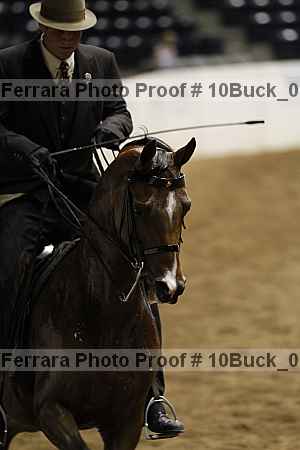 Proof Number 10buck_0161