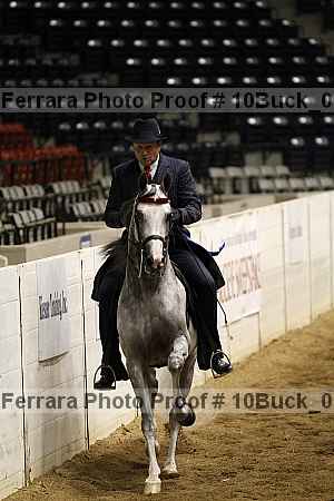 Proof Number 10buck_0168