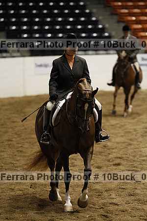 Proof Number 10buck_0181