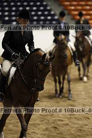 Proof Number 10buck_0187