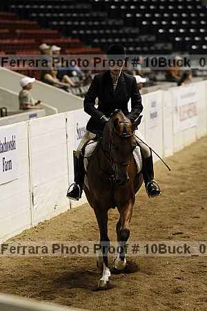Proof Number 10buck_0207