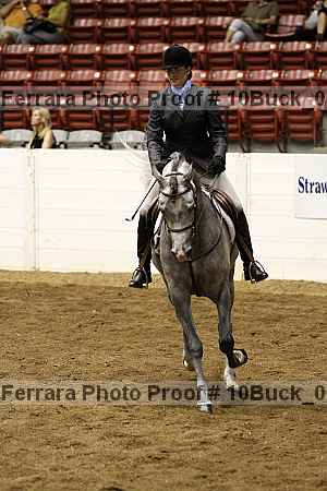 Proof Number 10buck_0210