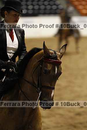 Proof Number 10buck_0237