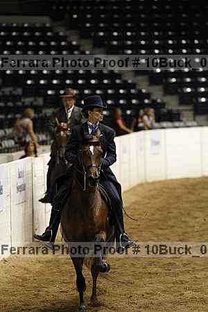Proof Number 10buck_0249