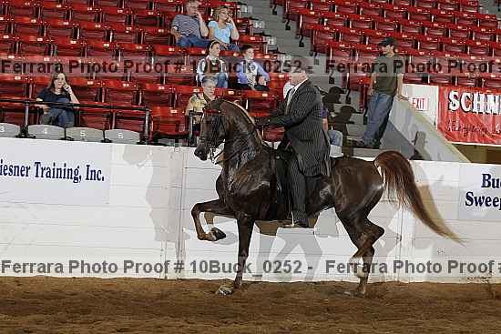 Proof Number 10buck_0252