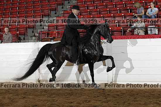 Proof Number 10buck_0259